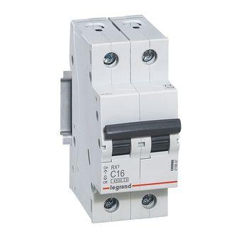 Выключатель Нагрузки  2П  40А  Legrand  RX3  419407